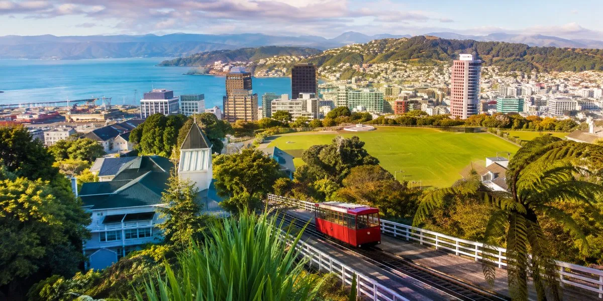 New Zealand Is Hiring: Where Jobs Are Growing for Overseas Workers Right Now